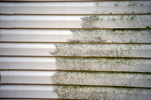 Best Siding Painting and Refinishing  in San Gabriel, CA