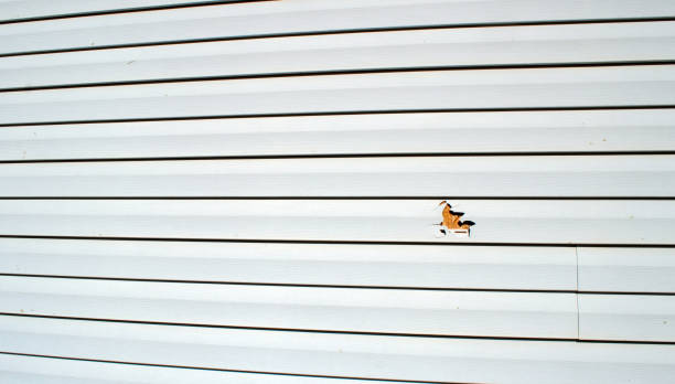 Best Composite Siding  in San Gabriel, CA